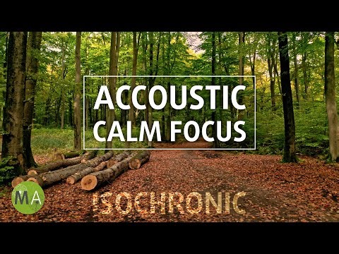 Calm Focus Reading/Writing - Reflective Accoustic + Isochronic Tones