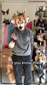 Bring that "dgaf" energy wherever you go! | #therian #alterhuman #furry