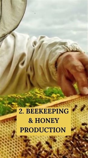 Low Investment Agriculture Business Ideas | Village & Urban Farming | Agri Concepts Hub