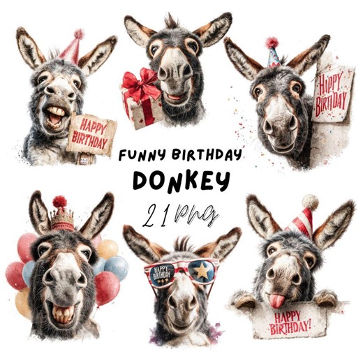 Funny Birthday Donkey Clipart | Party Donkey Graphics | Digital Download | 21 PNG/JPG - Etsy