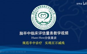 Hunt-Hess分级量表