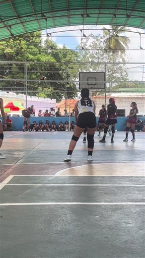¿Cómo es el voleibol? Explicación básica y características