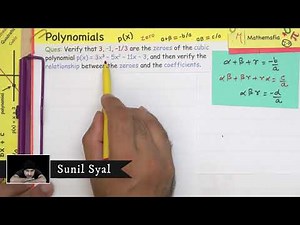 Example 5* - Chapter 2 - Class 10, Maths | Polynomials | NCERT Maths | CBSE