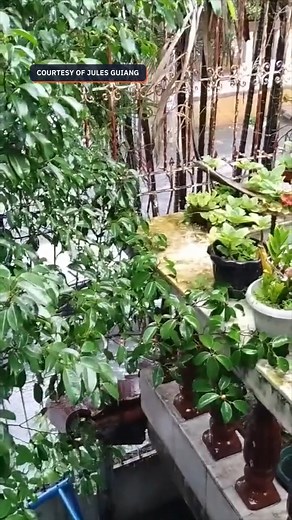 Flooding along Quezon City streets WATCH: People wade through floodwaters along Maginhawa, Makadios, V. Luna, and CP Garcia streets in Quezon City amid heavy rain on Saturday afternoon, August 30. Videos from #LingapMaginhawa volunteers | Rappler