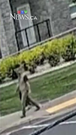 Police release video of Windsor, Ont. cyclist shot with an airsoft gun