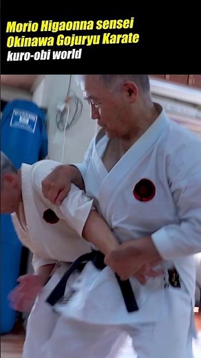The dangerous techniques of ancient karate! Morio Higaonna sensei