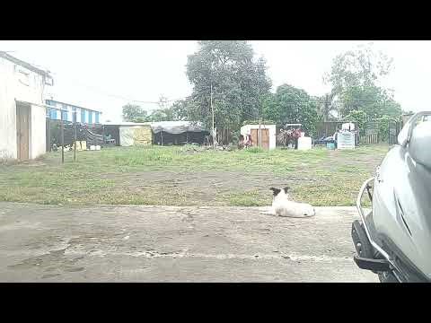 Financial tips how to save your money part a81