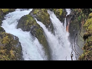 🖤 Dark Water, Bright Light — Sol Duc Falls Oregon Mist