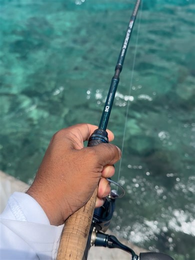 Ismail Ashraf on Instagram: "Some mack tuna and bluefin action from last month. When it’s good it’s good. . . . Kawakawa / little tuna / mackerel tuna (Euthynnus affinis ) Latti Bluefin Trevally (Caranx Melampygus) Fani Handhi Lure: Hondeli jig 10g @tides_corner_mv Hooks: @vanfook_global micro assist @tides_corner_mv Rod: #tsurinoya Ranger RGS674L travel rod Reel: #tsuroniya ranger 2000 @tides_corner_mv Braid: @toray_fishing super strong 13lb PE 0.8 @tides_corner_mv Leader: @toray_fishing 14lb s