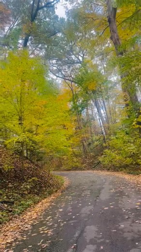 Alton Fitzgerald White on Reels