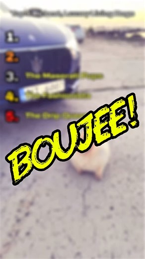 Are These Dogs Richer Than You?💎🐾 #shorts #dog #funny