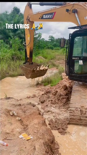 Master Punisher: Dauntless Operator Skills Explained