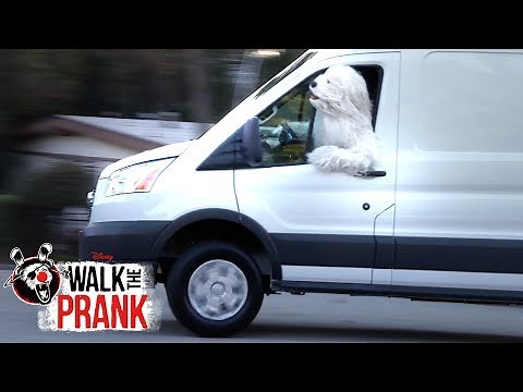 Dog Vrooming | Walk the Prank | Disney XD
