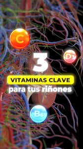 321K views · 3K reactions | Las 3 vitaminas que tus riñones aman  ✔️D3 regula minerales, ✔️ C ayuda a eliminar toxinas y ✔️ B6 reduce la formación de cálculos. ¿La mejor parte? Renal Multivitamin las combina en una sola fórmula para mantener tus riñones fuertes cada día. | Mason Vitamins Bolivia | Facebook