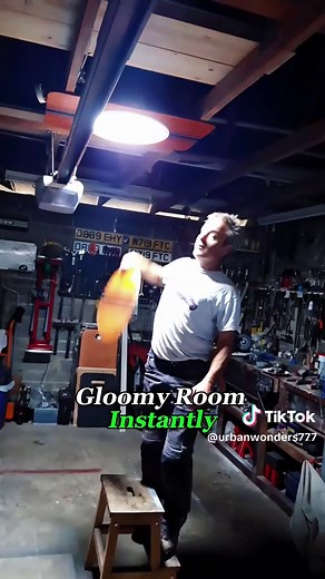 Enhancing Work Life with Natural Light Solutions