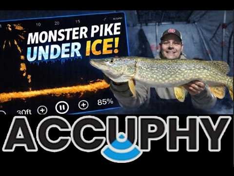 Accuphy Ping Live Sonar (Full Test and Review!)