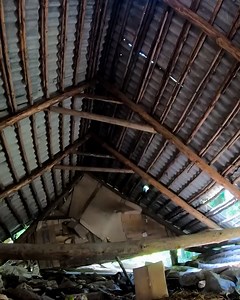 Building a Dream Treehouse Part 1 Planning and Design | DIY & Crafts