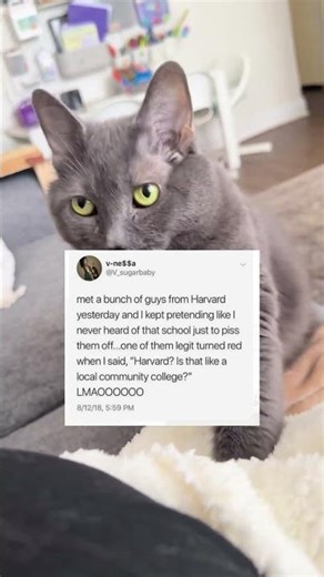 Local community college