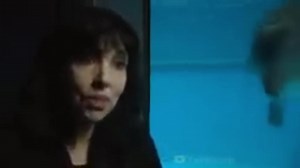 dolphin scream #meme #memes #memez