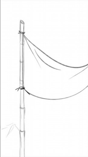 #shorts #flaganimation #flaganimation2d #flag #vfx #animation #2d #waving #wavingflag #toonboom #art