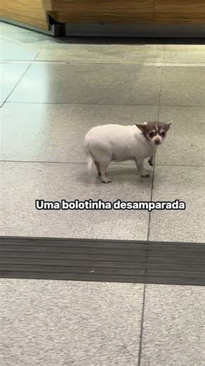 A cara convence | Trip for two