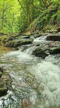 jungle sounds for sleeping- relaxing water sounds for sleeping