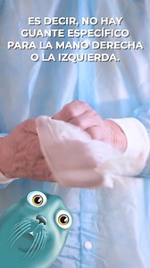 🧤 ¿Sabías que existen guantes ambidiestros y anatómicos? En este video te explicamos la diferencia entre ambos: ✔️ Ambidiestros: pueden utilizarse indistintamente en ambas manos. ✔️ Anatómicos: están diseñados para adaptarse de forma natural a la mano derecha o izquierda. Ambos tipos tienen aplicaciones distintas en el ámbito médico, dental e industrial. La elección correcta puede hacer la diferencia en comodidad, precisión y seguridad. 🔹 Confianza en tus manos. 🔹 Protección que se adapta a c