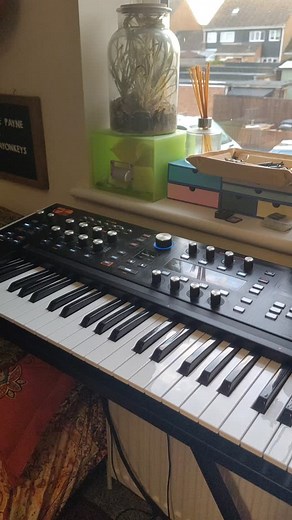 13 reactions | #studiocat #catsofinstagram #hydrasynth @ashunsoundmachines | Cephid | Facebook