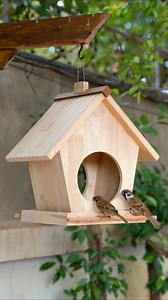 Build This Cute Bird Feeder in Minutes! 🔨🏠 #BirdFeeder #DIYProjects #CraftyIdeas #HomeImprovement #NatureLovers #BirdWatching #OutdoorFun #EasyCrafts #GardenDecor #CreativeDIY | Woodworking Tools