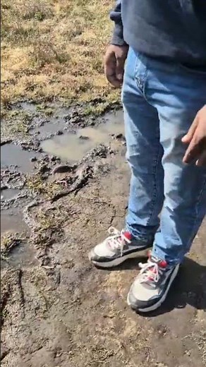 Trail Running Shoes for Hiking? 🥾 Better Than Boots! Honest Review & Tips