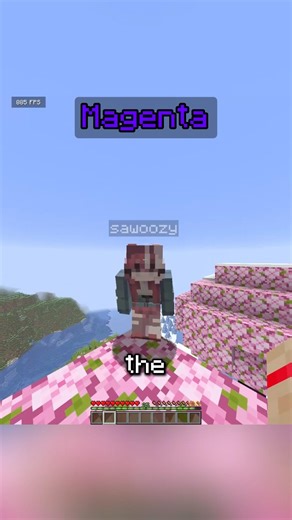 Minecraft First To Get The Color Challenge