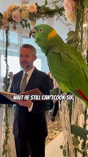 Parrot OBJECTS at Wedding 😭💍 | “LOVE IS SACRED… HUNGER IS LOUDER!”