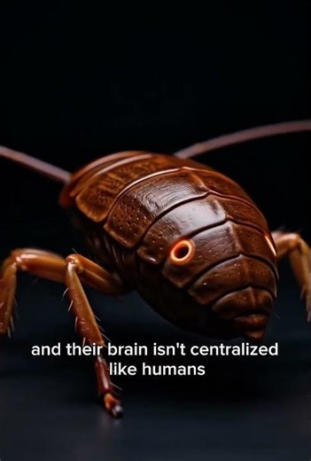 Animals That Can Survive Decapitation 😱 | Shocking Survival Facts Explained