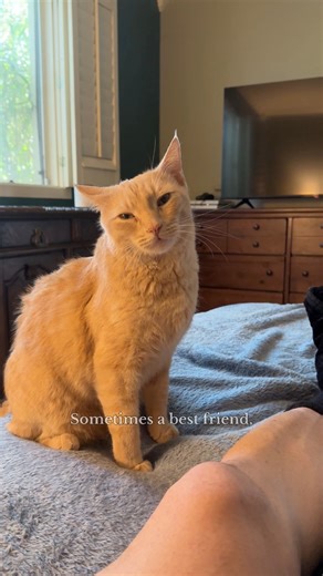 A boy and his cat. ❤️🐾 #mycat | Justin Jones