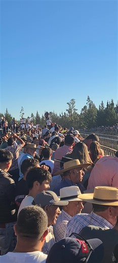 La Carrera de la Yegua Sola: Reina de Chile 2023