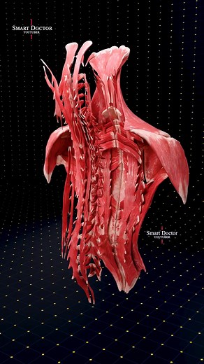 43K views · 645 reactions | Strength Behind the Scenes  . ....