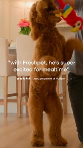 50 reactions | Our delicious, pup-loved recipes are all formulated by Veterinary Nutritionists to help your pet live a happy and healthy life. | Freshpet | Facebook