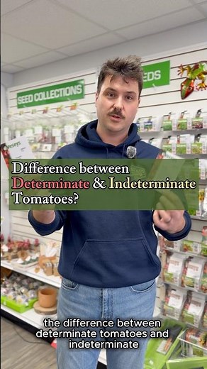 Determinate vs Indeterminate Tomatoes Explained 🍅 | Veseys Seeds #tomatoes