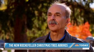 How Rockefeller Center tracked down the perfect Christmas tree