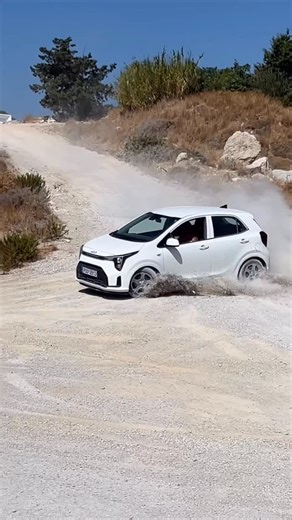 Cass 🌹 on Instagram: "Still don’t get why they took my license.. 🤷‍♀️"