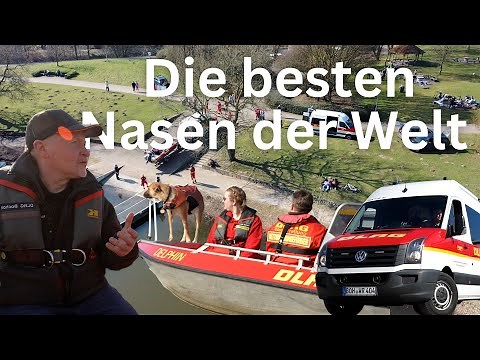 Joey Kelly begleitet Rettungshunde im Einsatz – Ein Tag bei der DLRG