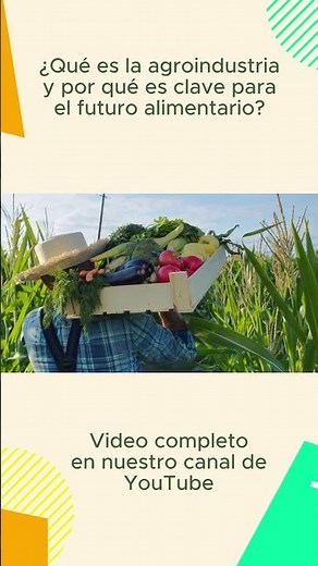 ¿Qué es la agroindustria y por qué es clave para el futuro alimentario?