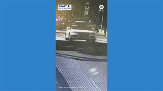 Driver jumps raised bridge during police chase