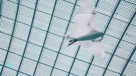 Amazing Robotic Animal!Must Need To See...