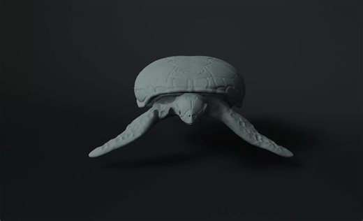 Final Exam Project-Turtle sculpting, NISHU