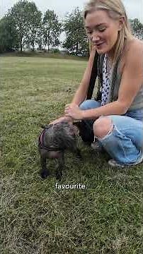 Making the hard decision to put your dog down 🥺🤧
