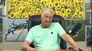 24K views · 46 reactions | Let's dive into the fascinating world of language quirks! | Andy Andrews | Facebook