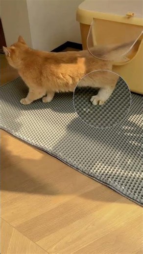 Stop Tracking Litter! 🛑 Best Cat Mat #CatHacks 🐱