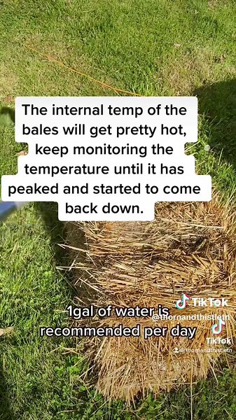 DIY Fermented Raised Beds on a Budget