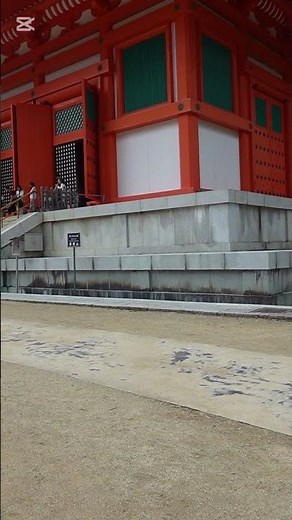 【高野山】壇上伽藍の厳かな空気｜金堂・根本大塔・鐘楼を360°散策｜2026.5.28 和歌山県